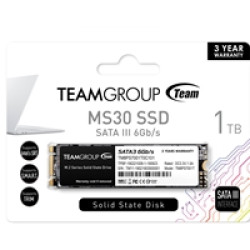 Team MS30 (TM8PS7001T0C101) 1TB, M.2 Sata Interface, Read 530MB/s, Write 480MB/s, 3 Year Warranty Team MS30 (TM8PS7001T0C101) 1TB, M.2 Sata Interface, Read 530MB/s, Write 480MB/s, 3 Year Warranty
