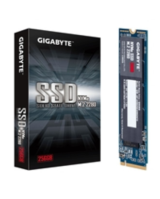 Gigabyte 256GB M.2 PCIe NVMe SSD